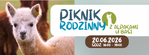 Zielone-Jesie-Jesienne-Dynia-Minimalistyczne-Cytat-Facebook-Zdjcie-w-Tle-28
