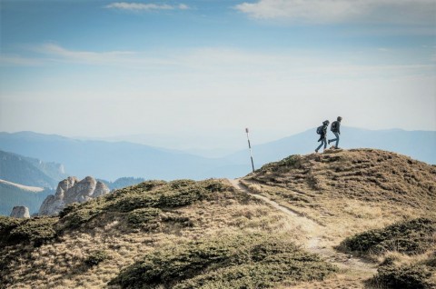 hiking-690479_1920